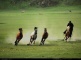 Hulunbeir Grassland